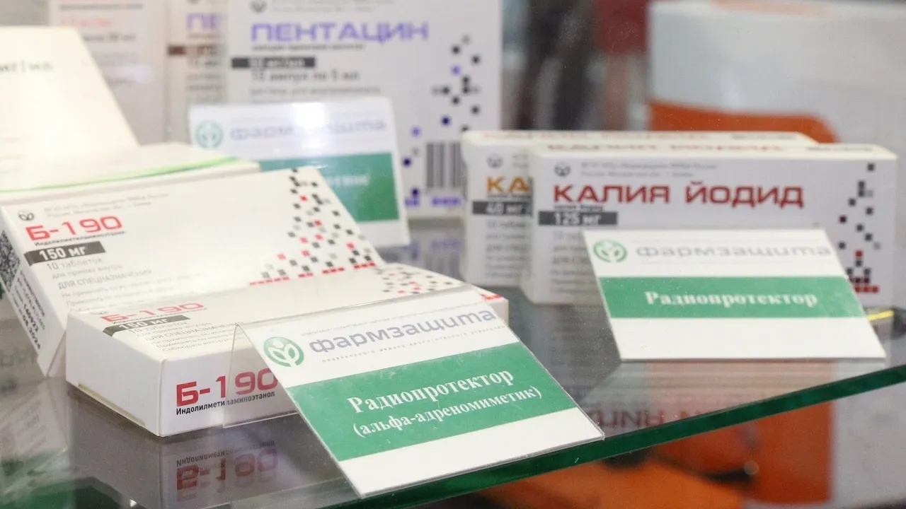 Фото: пресс-служба администрации г.о. Химки