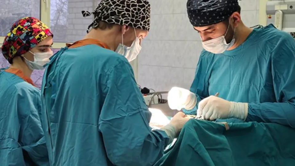 Фото: Министерство здравоохранения Московской области