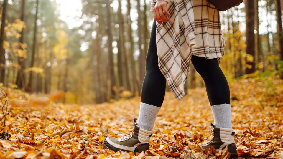 Фото: istockphoto.com/Maksym Belchenko