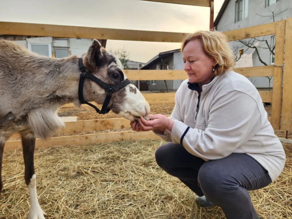 Фото: МедиаБанк Подмосковья/Евгения Герасимова&nbsp;