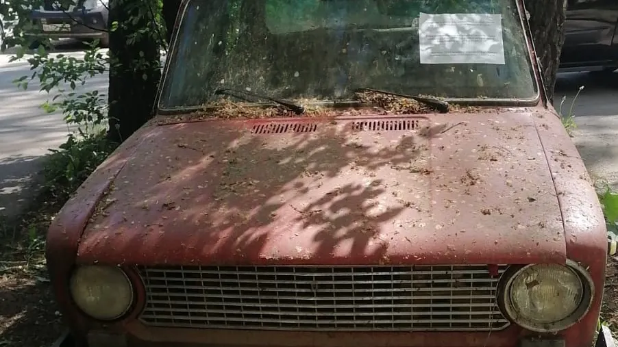 Фото: пресс-служба администрации Наро-Фоминского г.о.