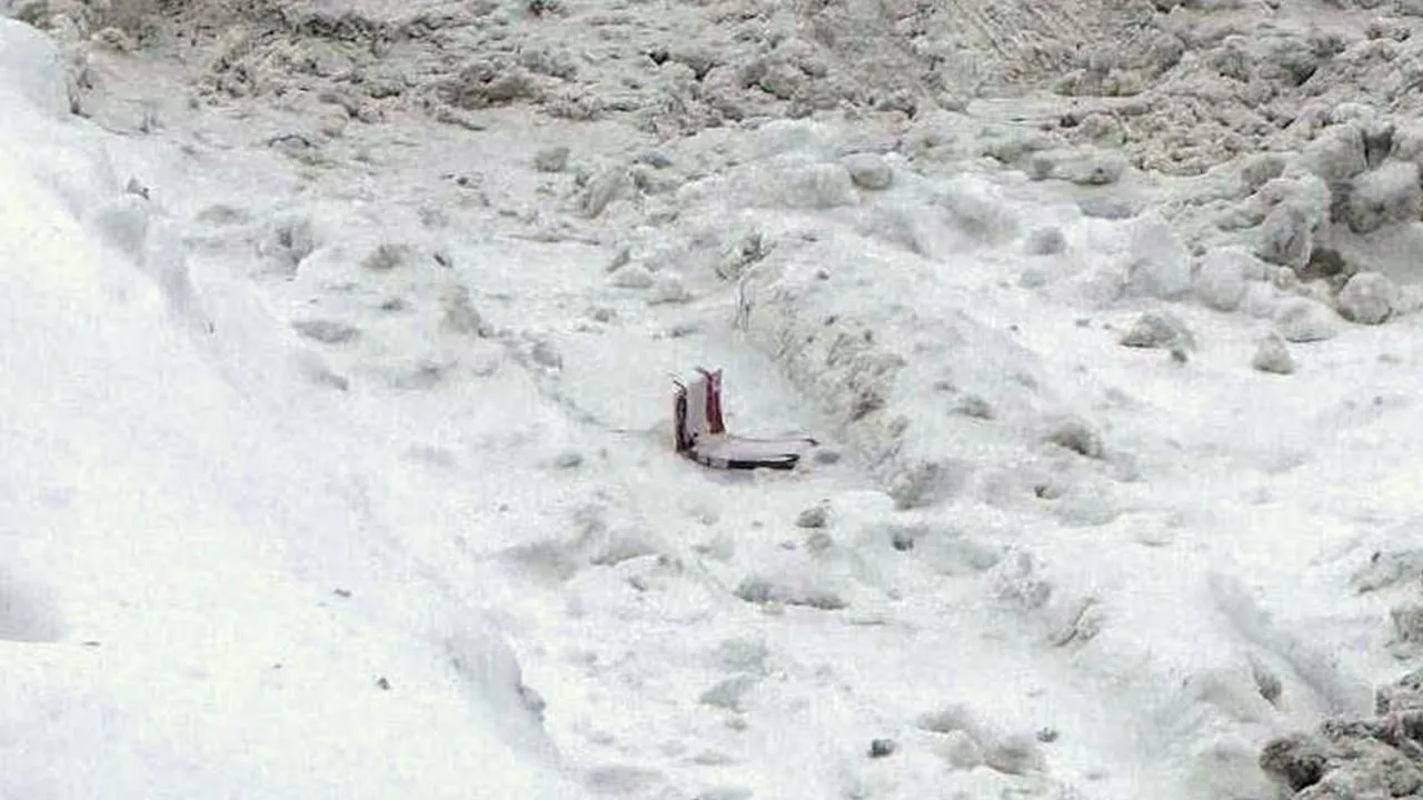 предоставлено очевидцами