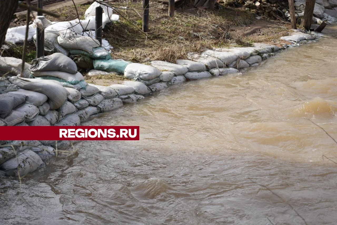 Фото: REGIONS/Дмитрий Зайчиков