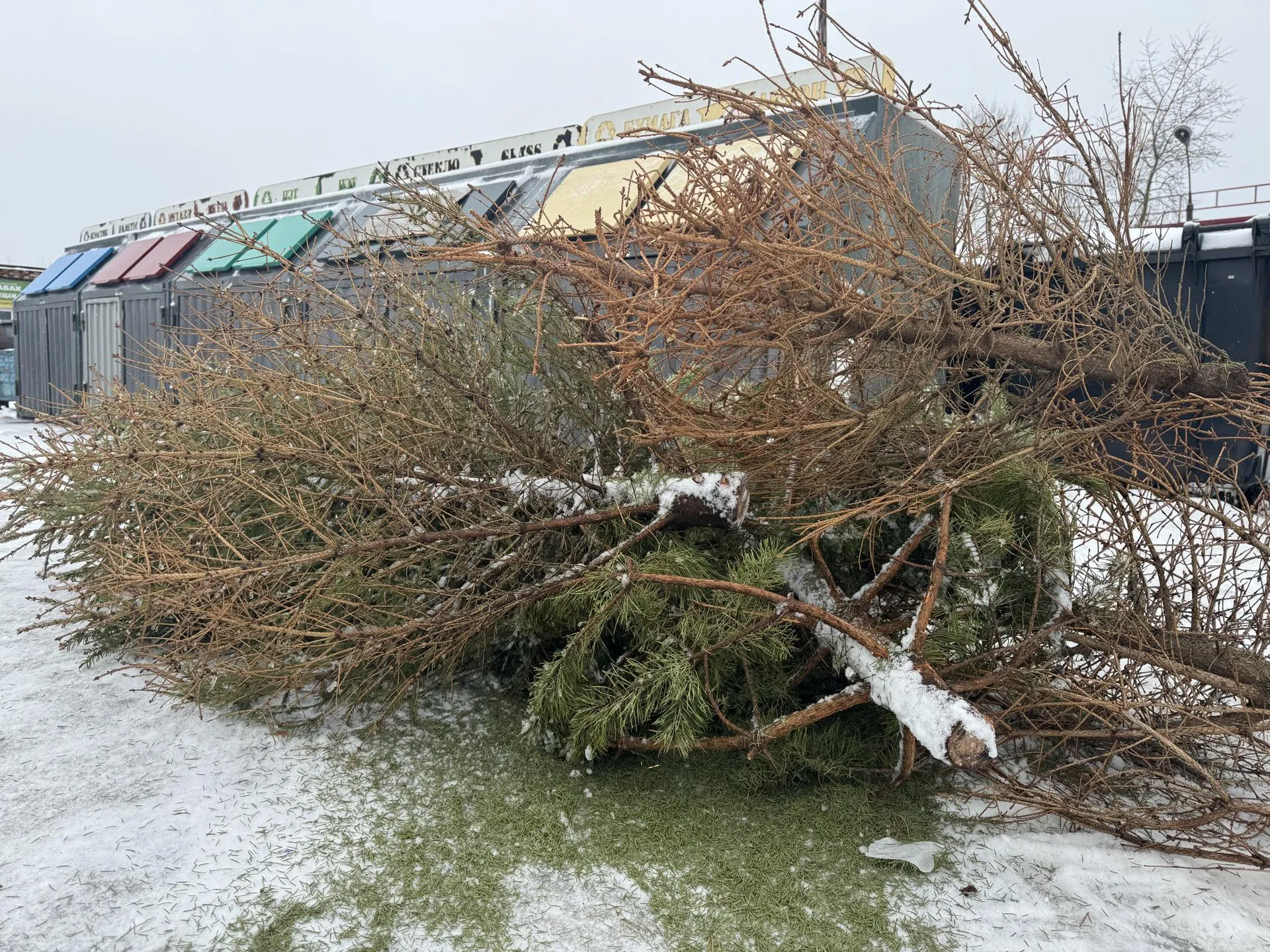 Фото: пресс-служба Минчистоты МО