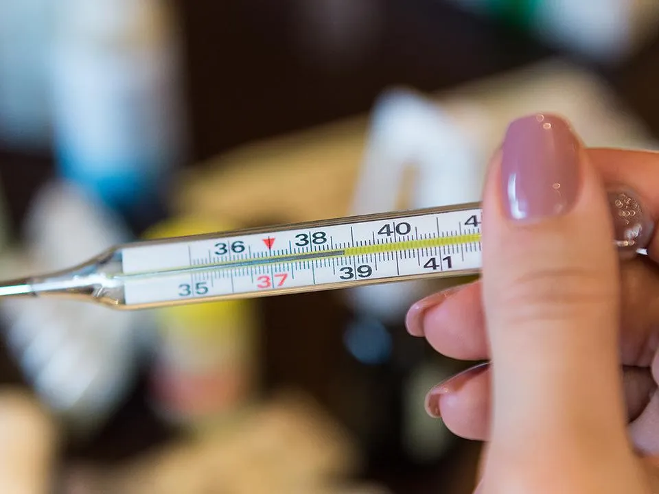 Россияне привозят лихорадку чикунгунья с Сейшел: где еще распространен вирус и как не заразиться