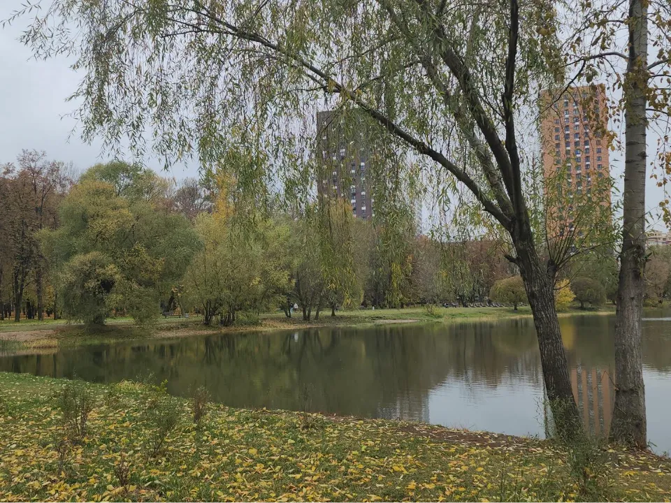 Фото: МедиаБанк Подмосковья/Наталья Лымарь