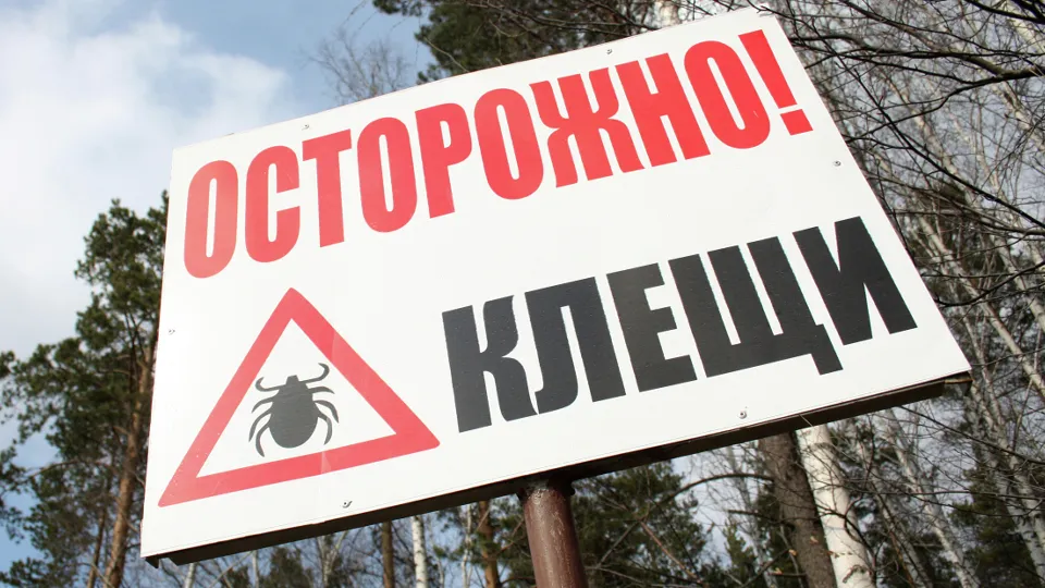 Фото: РИА Новости/Павел Лисицын