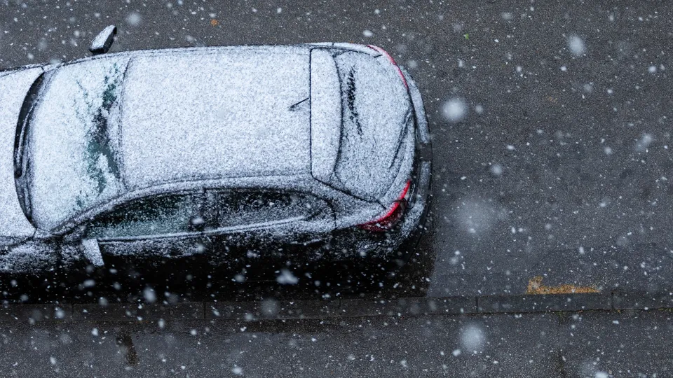 Фото: freepik.com