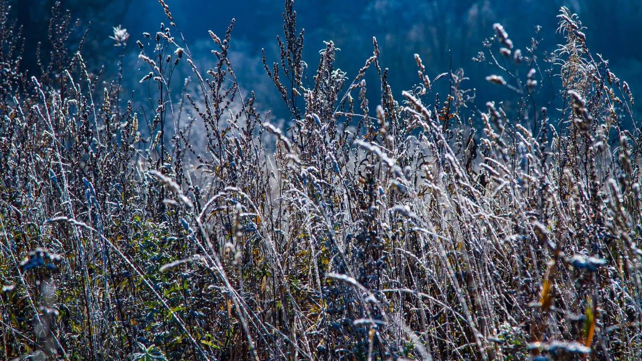 REGIONS/Владимир Ерастов