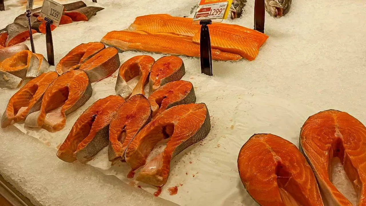 REGIONS/Эльвира Сафина