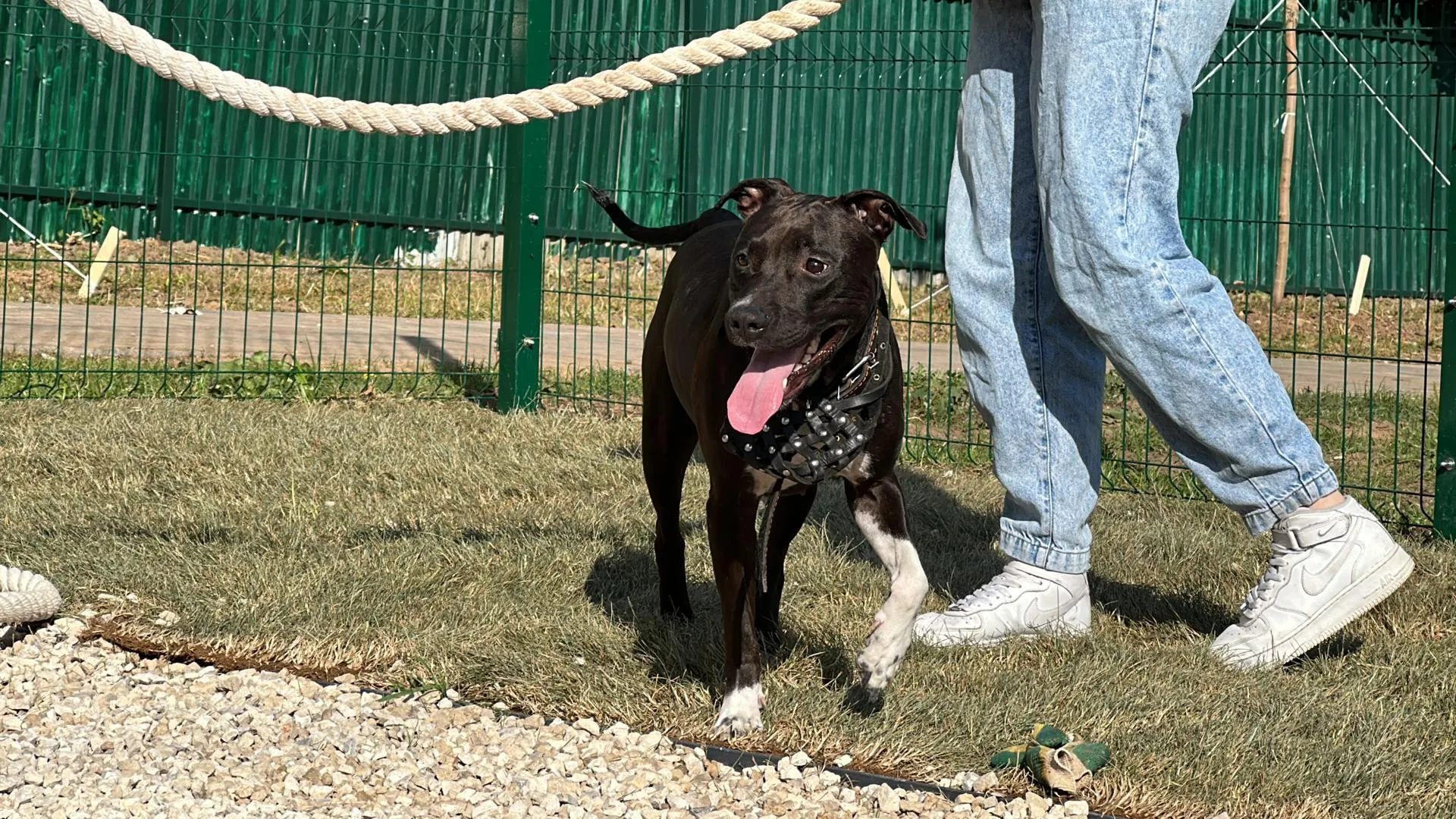 Фото: Мария Шматкова