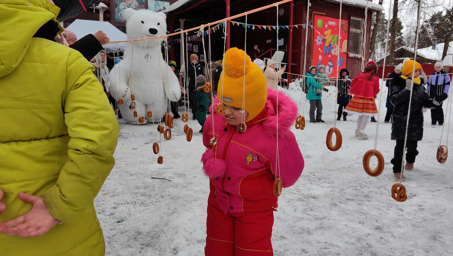 Елена Катасонова