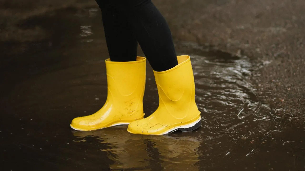 istockphoto.com/Nazar Rybak