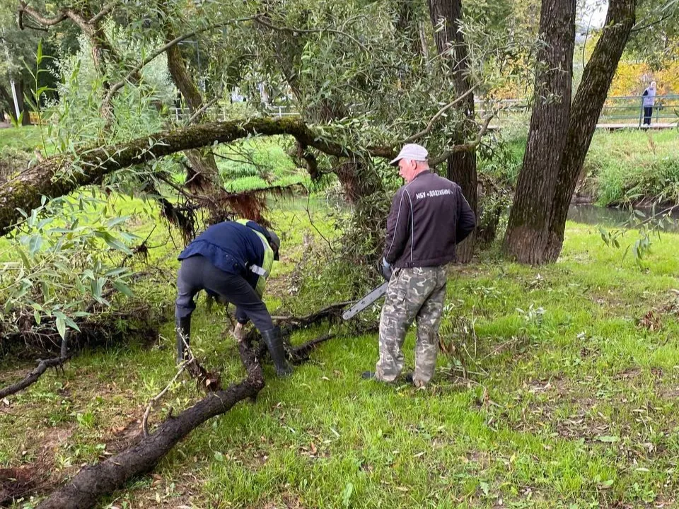 Фото: пресс-служба администрации м.о. Истра