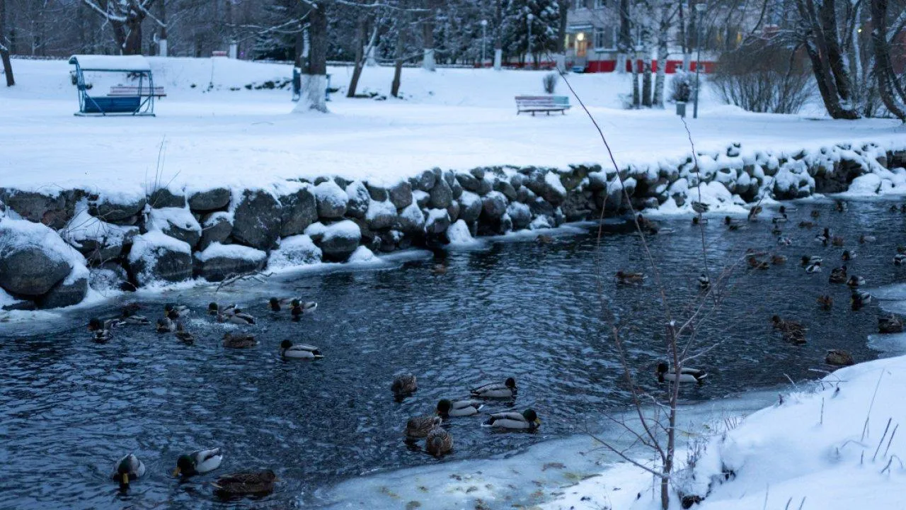REGIONS/Роман Малышенко