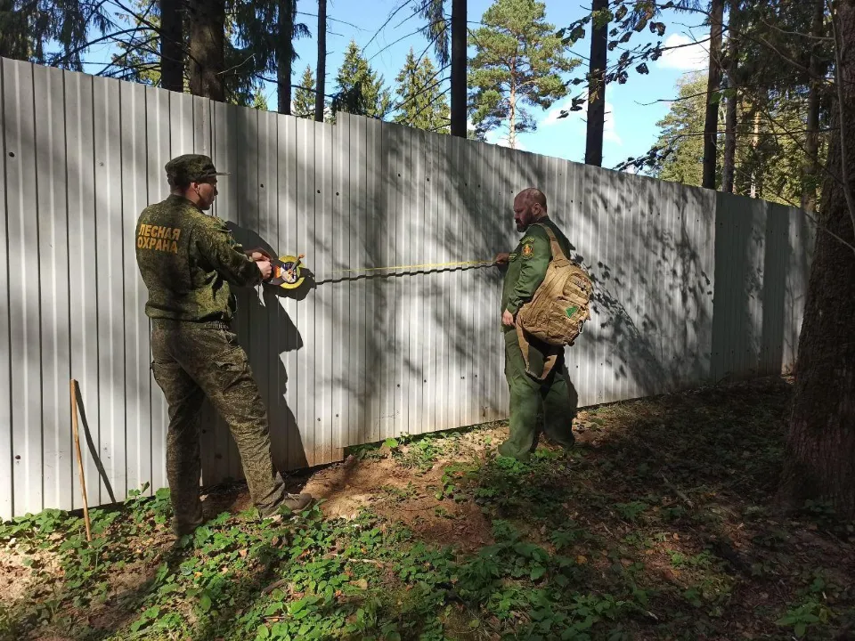 Фото: Комитет лесного хозяйства Московской области