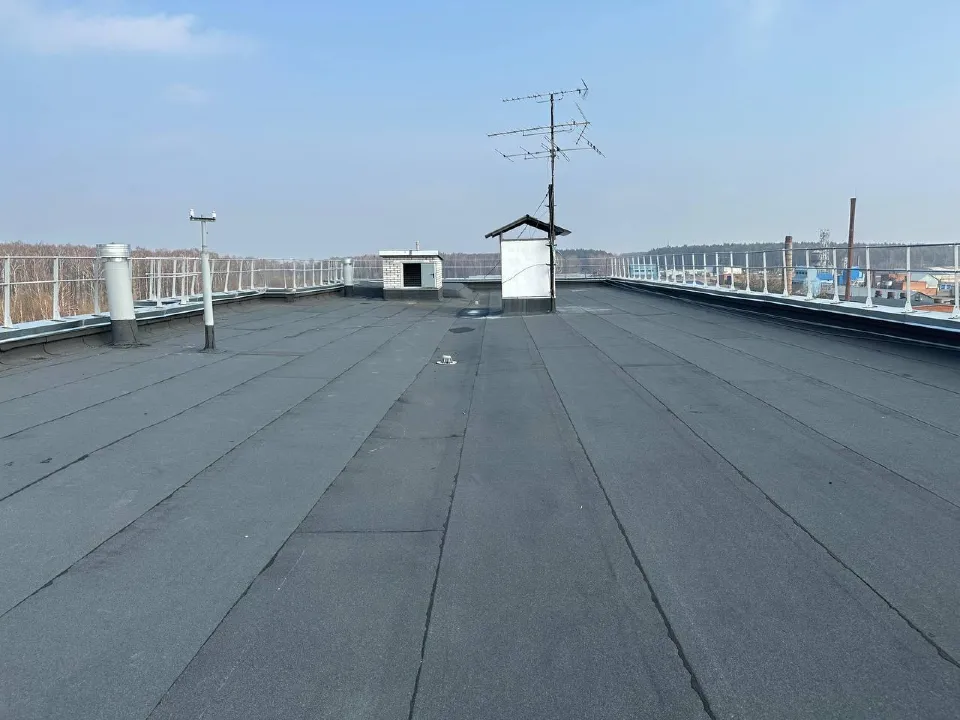 Фото: Эдуард Стратонов