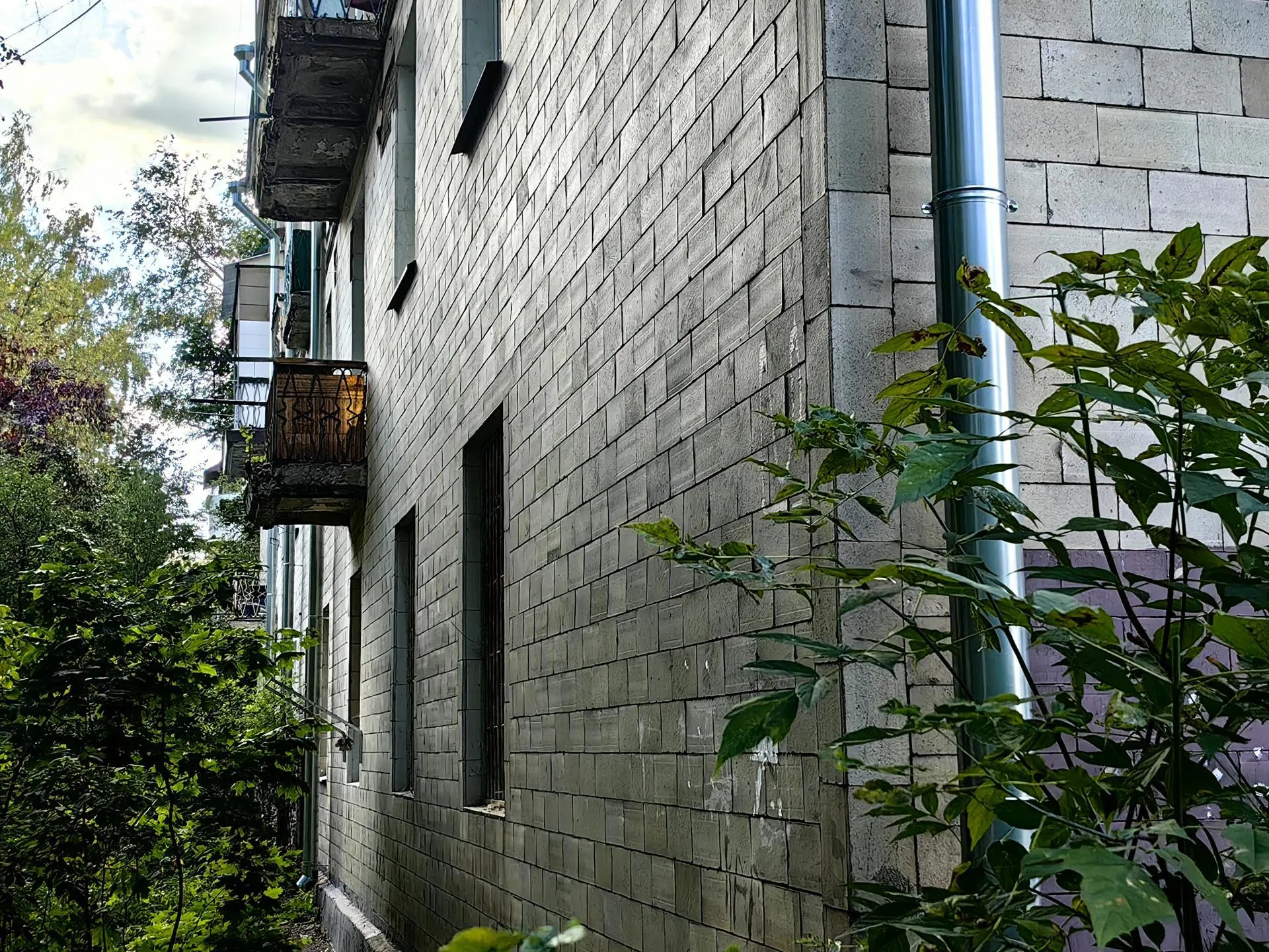 Елена Катасонова