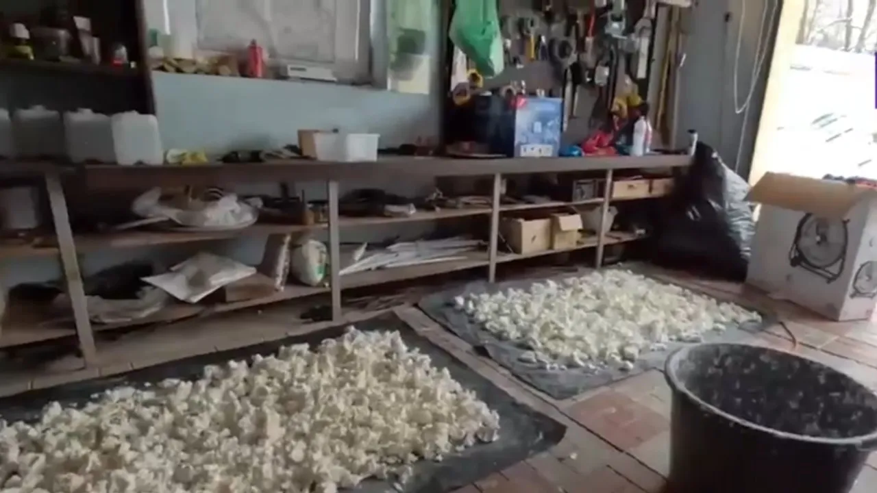 фото: кадр оперативной съемки