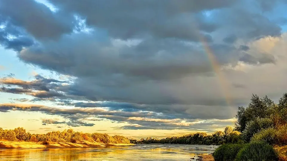 Фото: REGIONS/Алексей Селиверстов