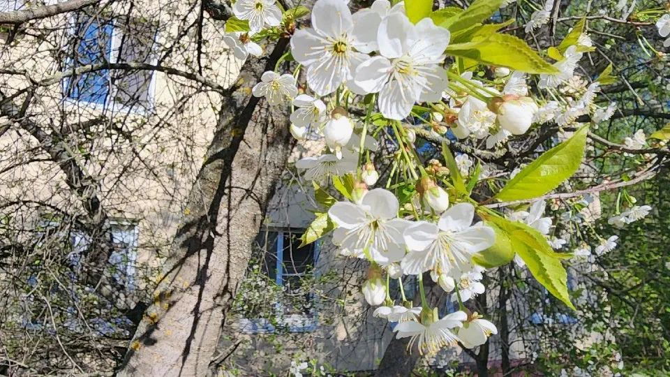 Фото: МедиаБанк Подмосковья/Михаил Мартыненко