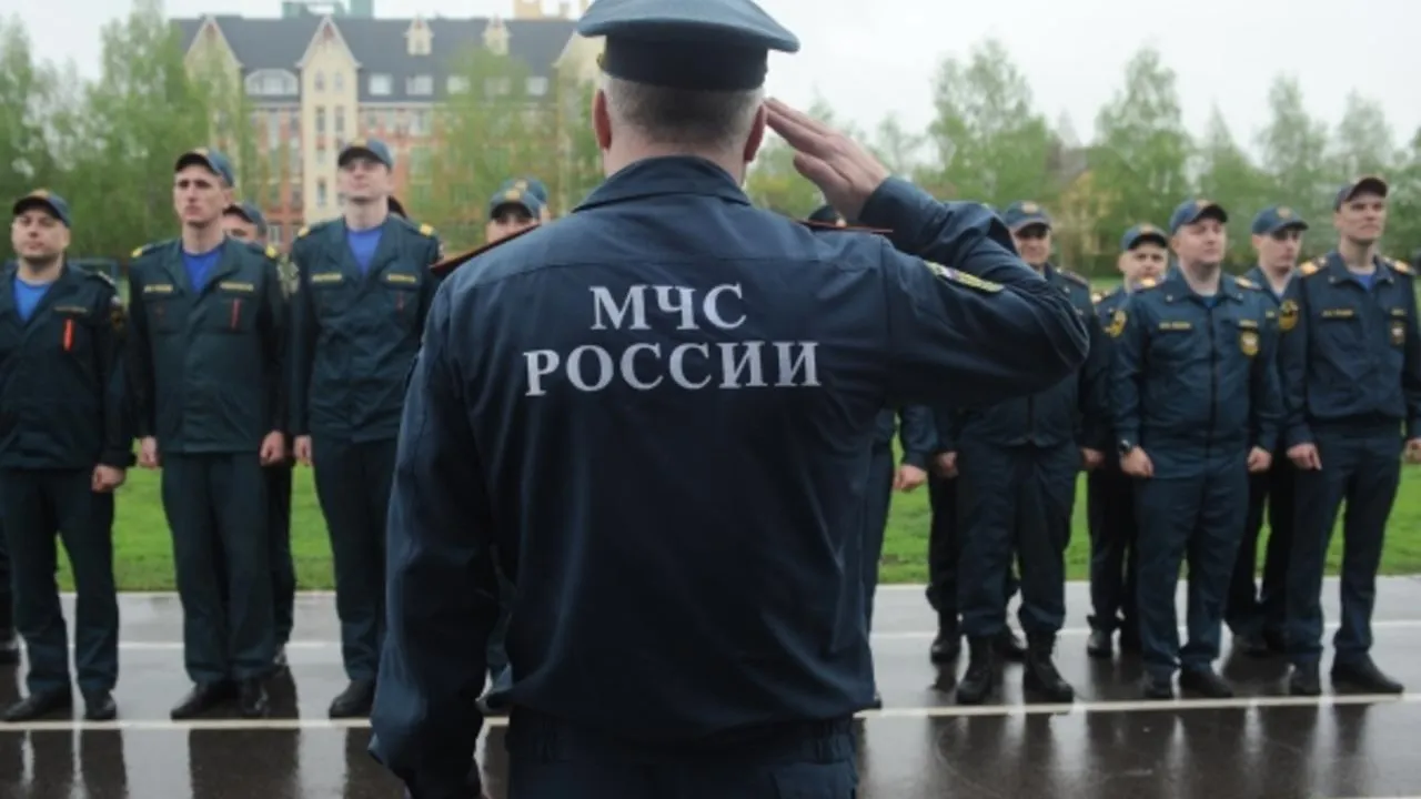 Задыхающуюся в мазутной яме собаку спасли сотрудники МЧС в Биробиджане