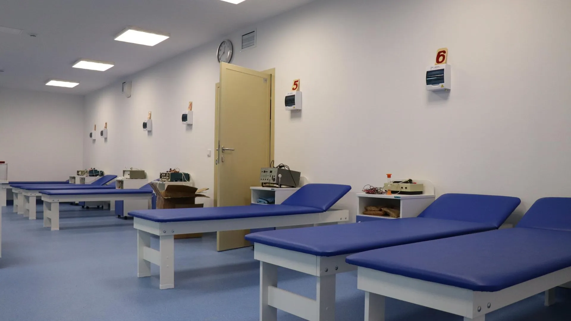 Фото: Василий Тремасов