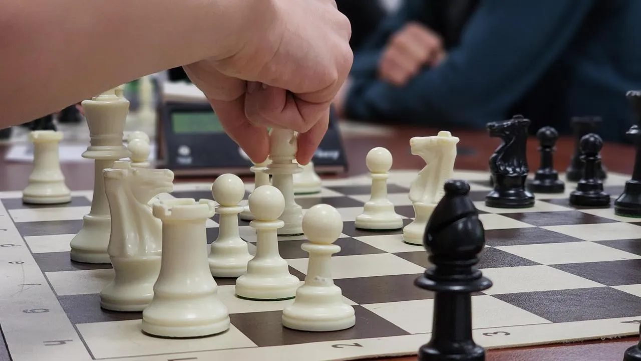 МедиаБанк Подмосковья/Екатерина Данилина