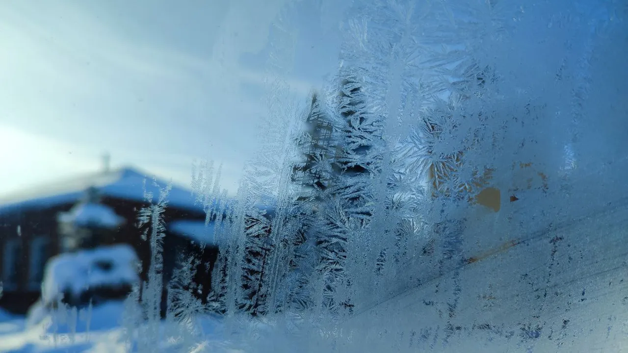 REGIONS/Елена Забелина