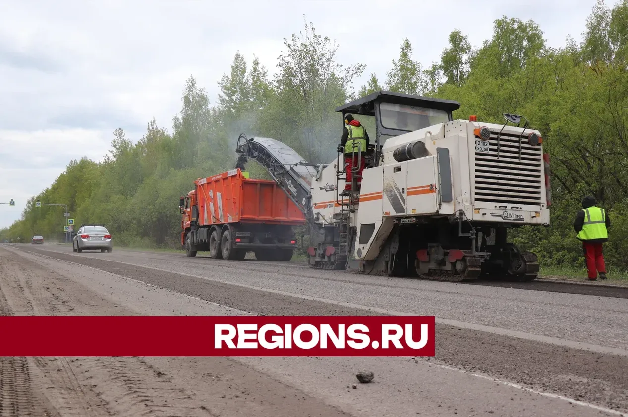 Фото: Regions / Василий Тремасов