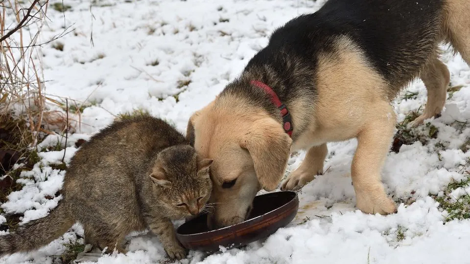 Фото: istockphoto.com