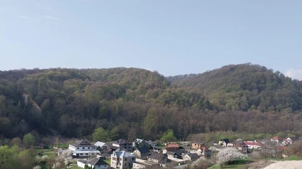 Фото: Министерство социального развития Московской области