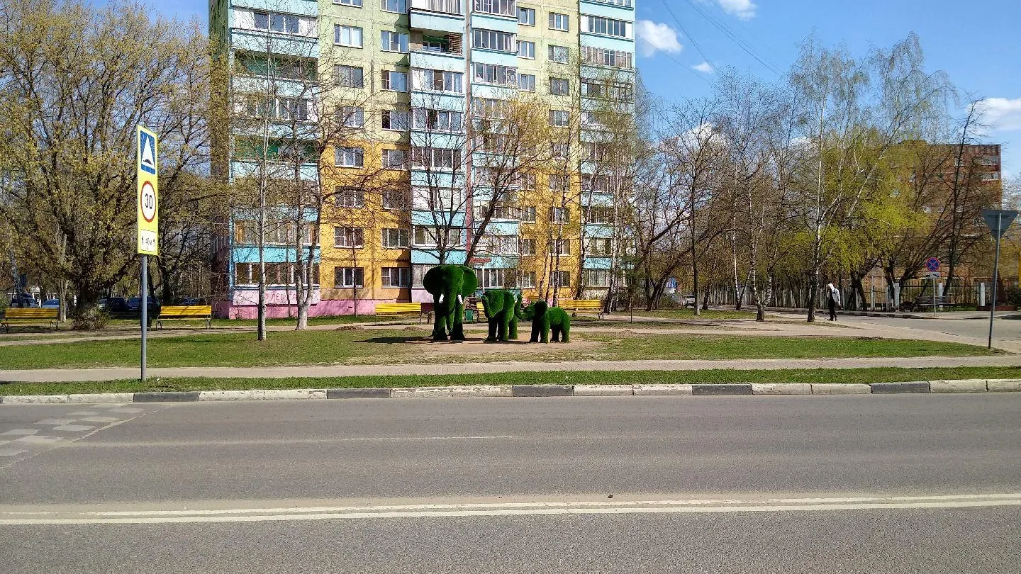 Картинка