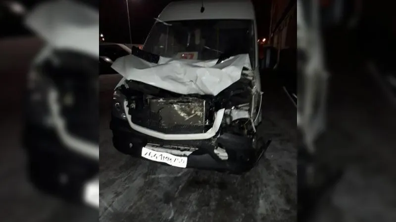 Маршрутка столкнулась с лосем в «долине смерти» Одинцовского района