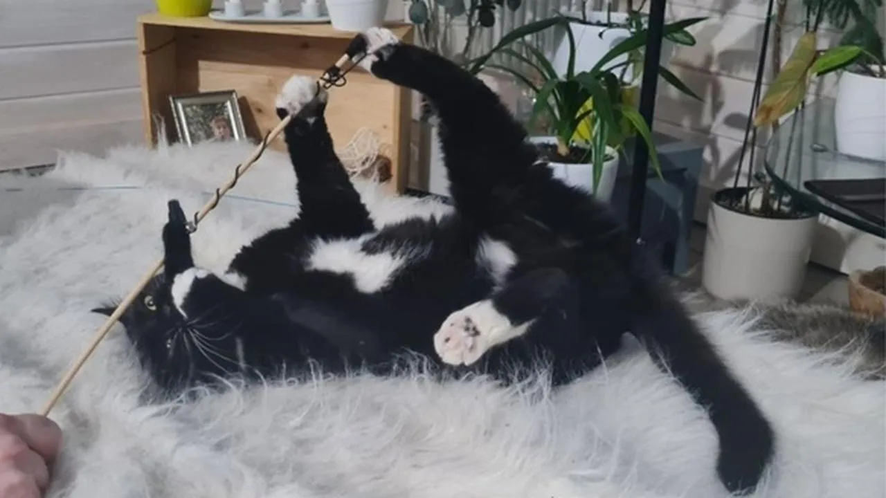 личный архив Анны Макаровой