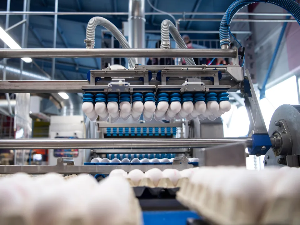 Фото: TASS/EPA/LUKAS BARTH-TUTTAS