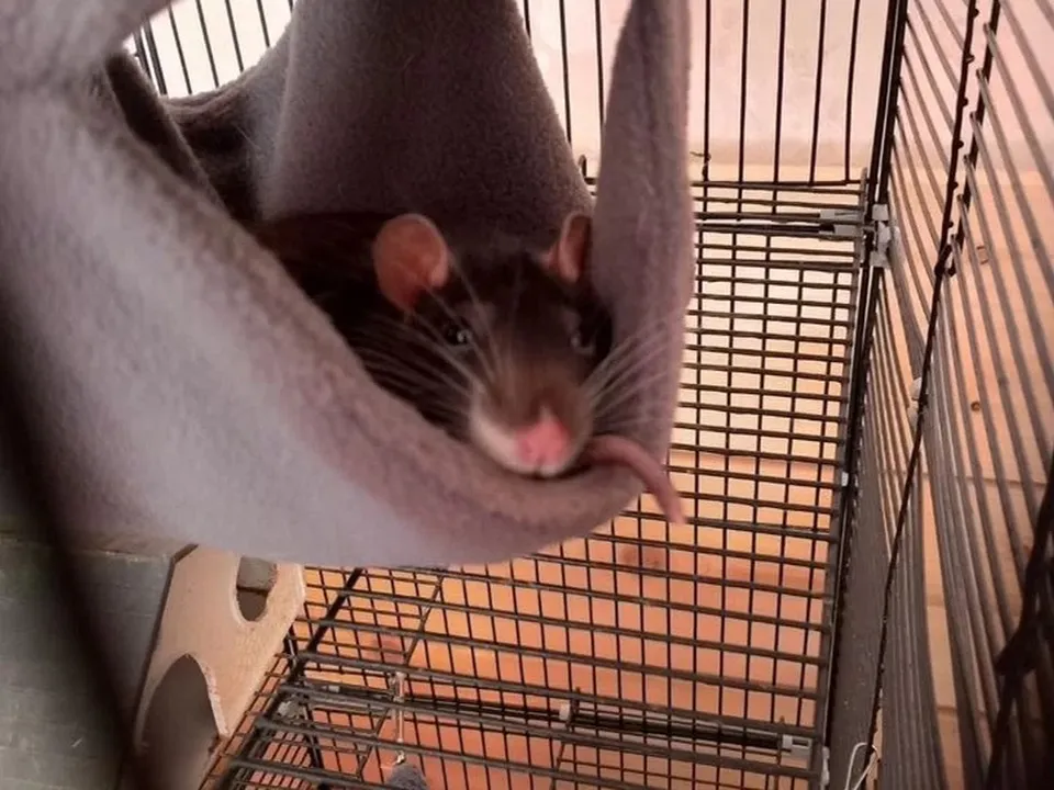 Фото: городская доска объявлений