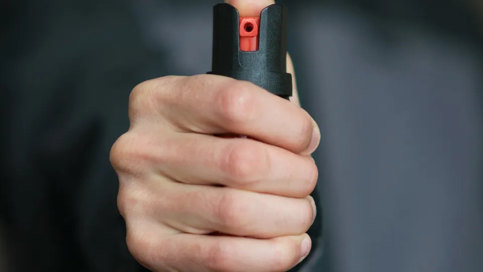 Фото: istockphoto.com/Vector DSGNR