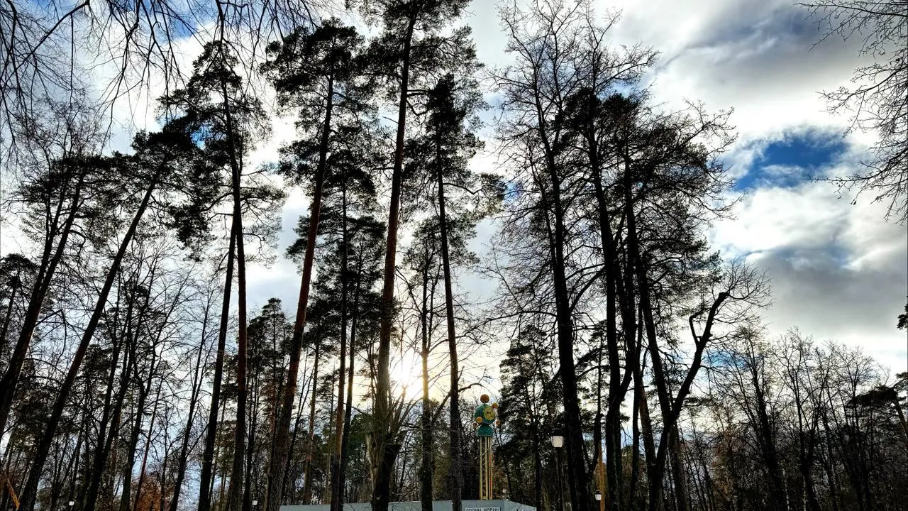 пресс-служба администрации Раменского муниципального округа