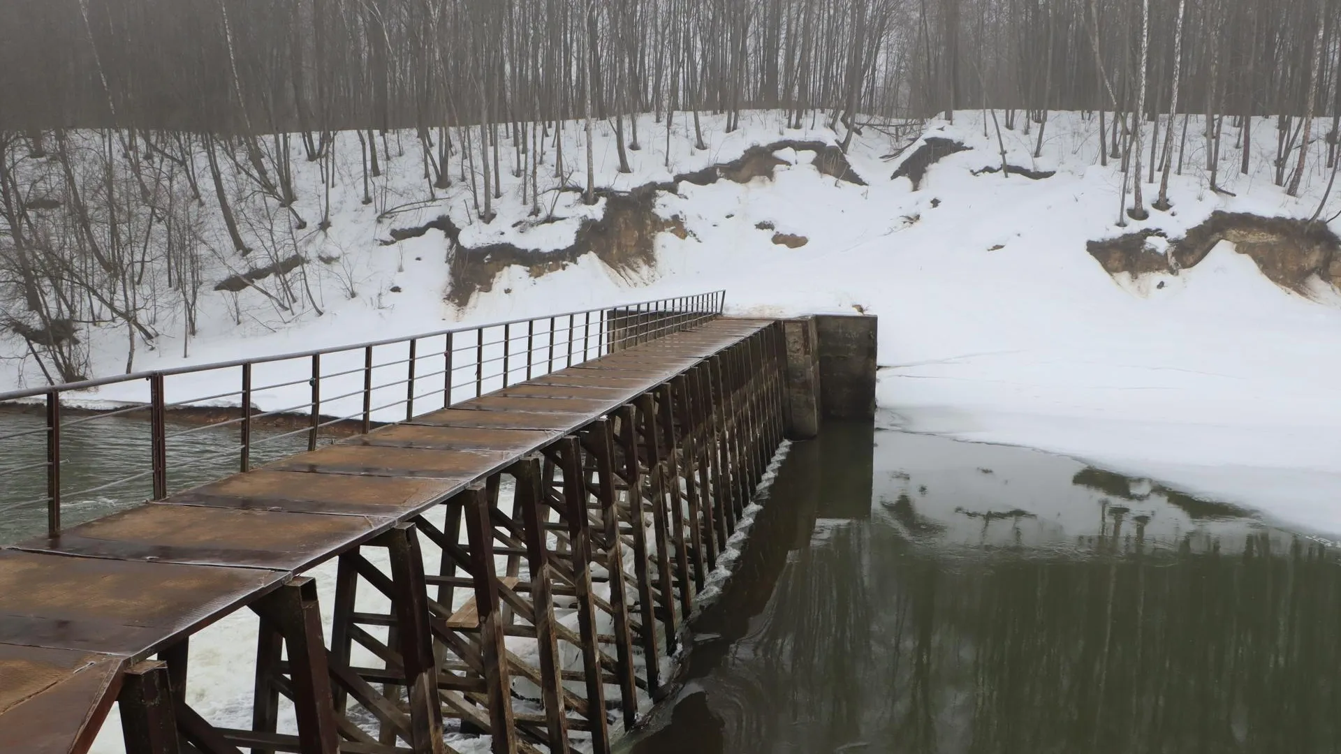 REGIONS/Ирина Матвеева