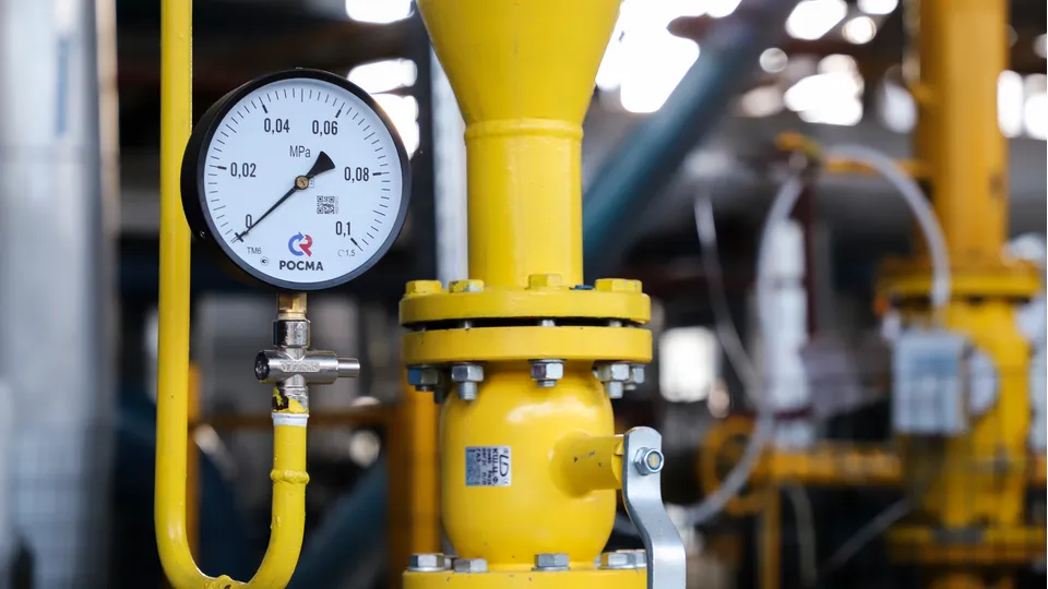 Фото: REGIONS/Наталия Надточая