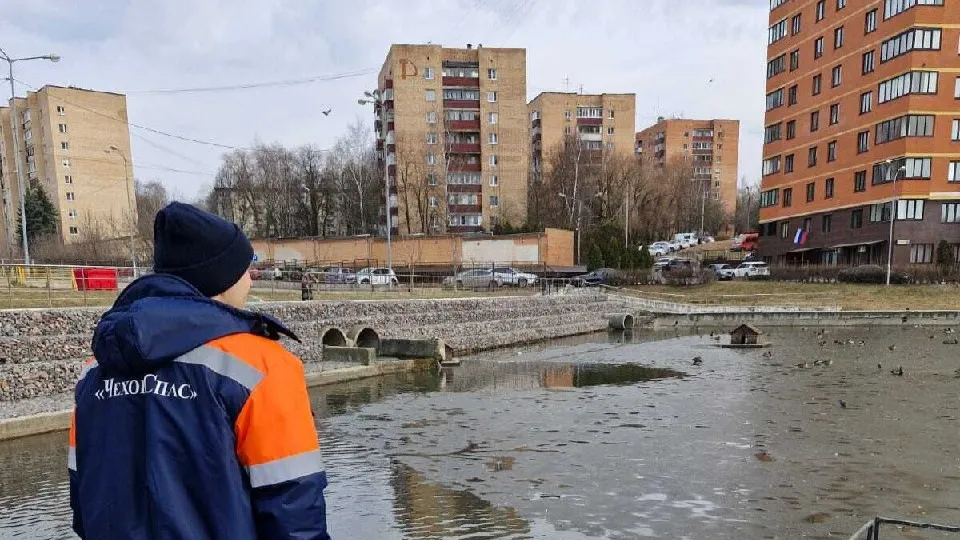 Фото: Администрация м.о. Чехов