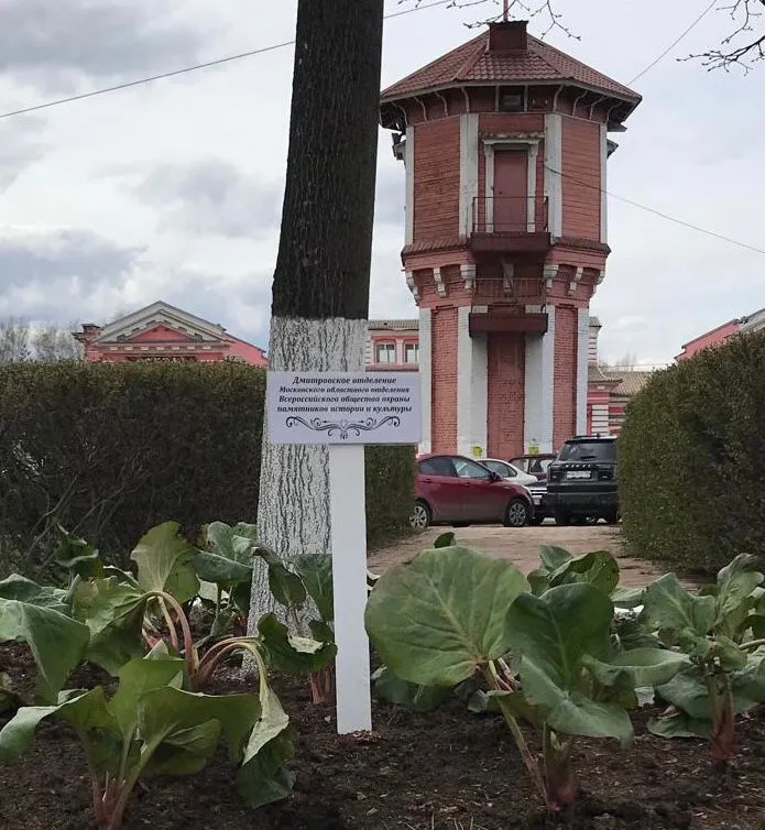 Фото: vk.com/Дмитровское отделение МОО ВООПИиК.