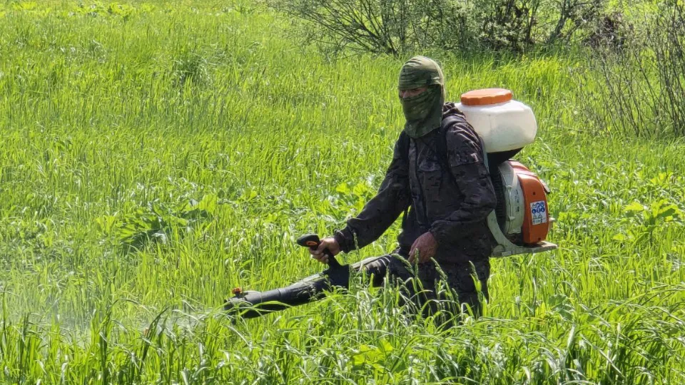 Фото: МедиаБанк Подмосковья/Яна Шаливская