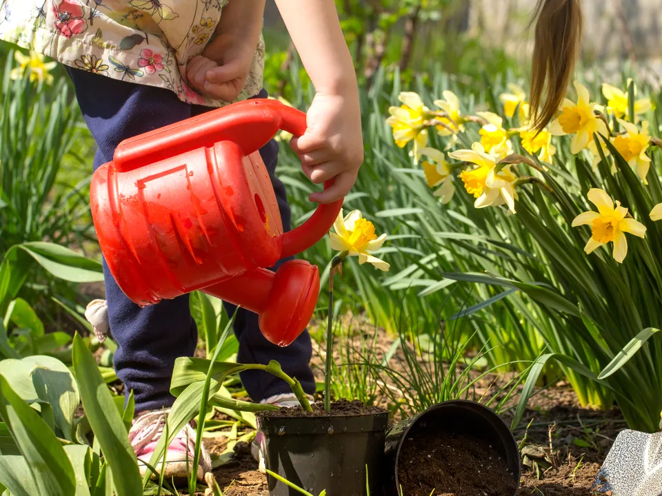 Фото: freepik.com