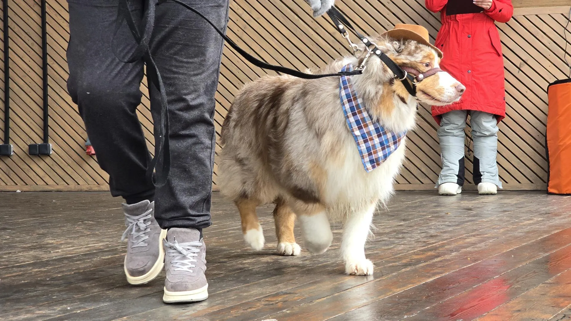 МедиаБанк Подмосковья/Марина Анисимова