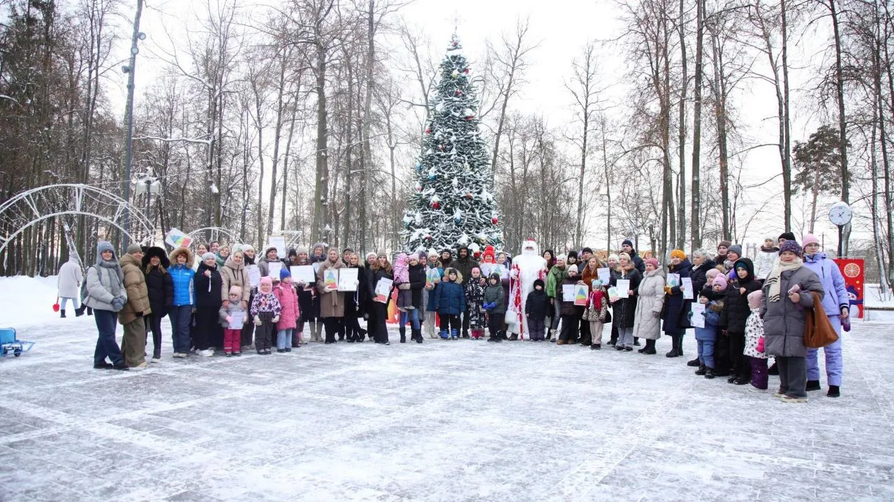 В Воскресенске подвели итоги фестиваля необычных елок