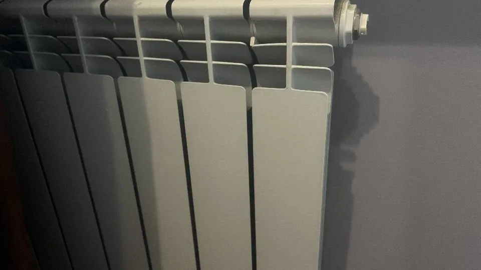 Фото: REGIONS/Светлана Стофорандова