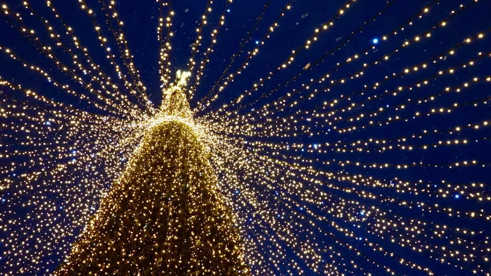 Фото: МедиаБанк Подмосковья/Дарья Леонова