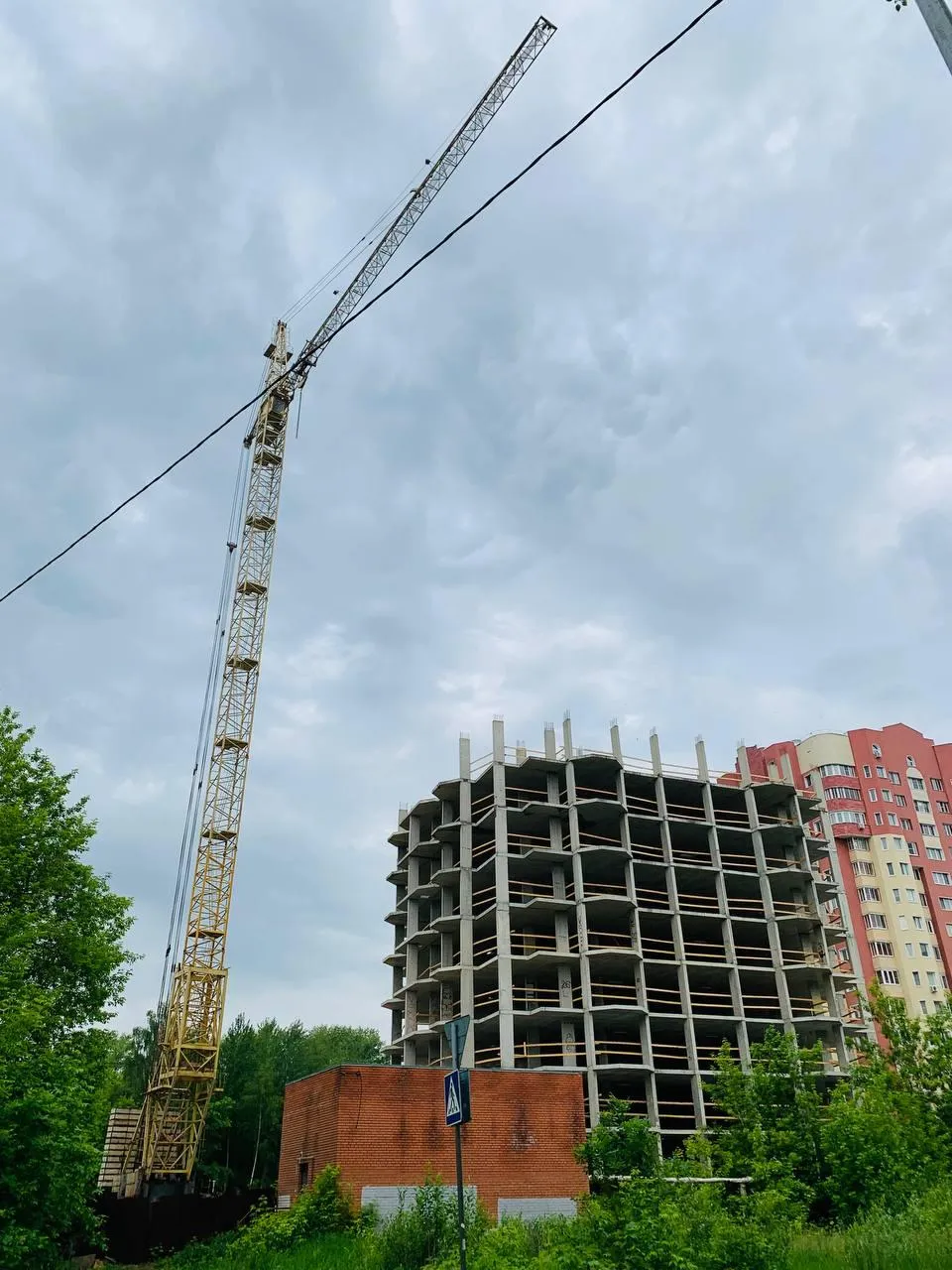 Фото: Олег Книжник